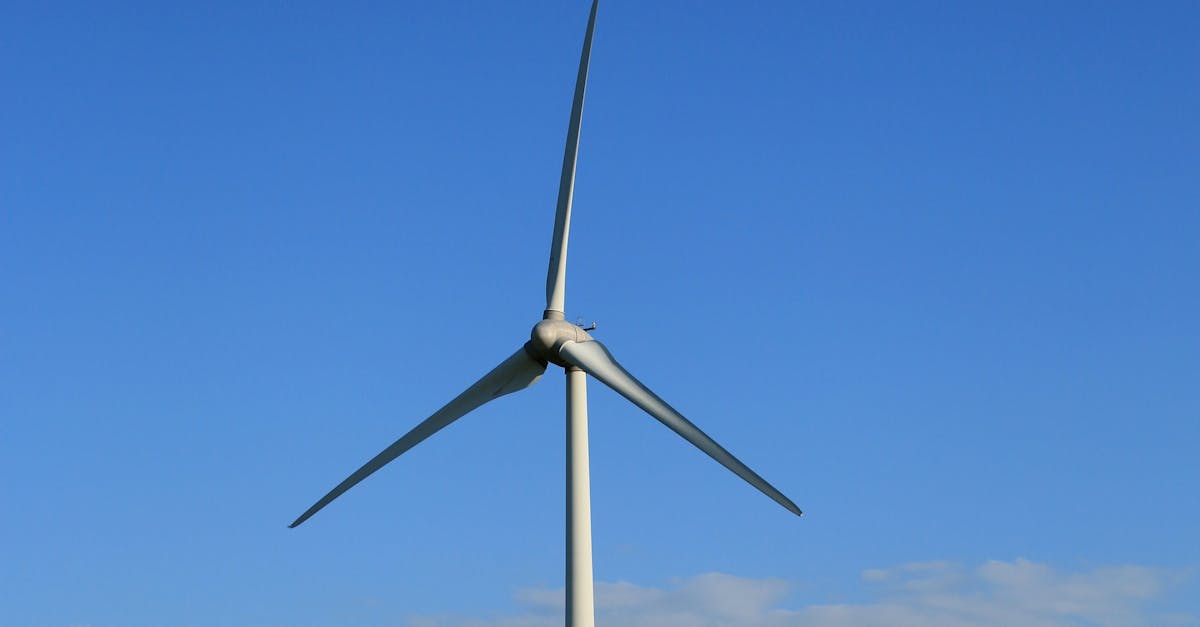 How to Implement Passive Solar Design in Your Home