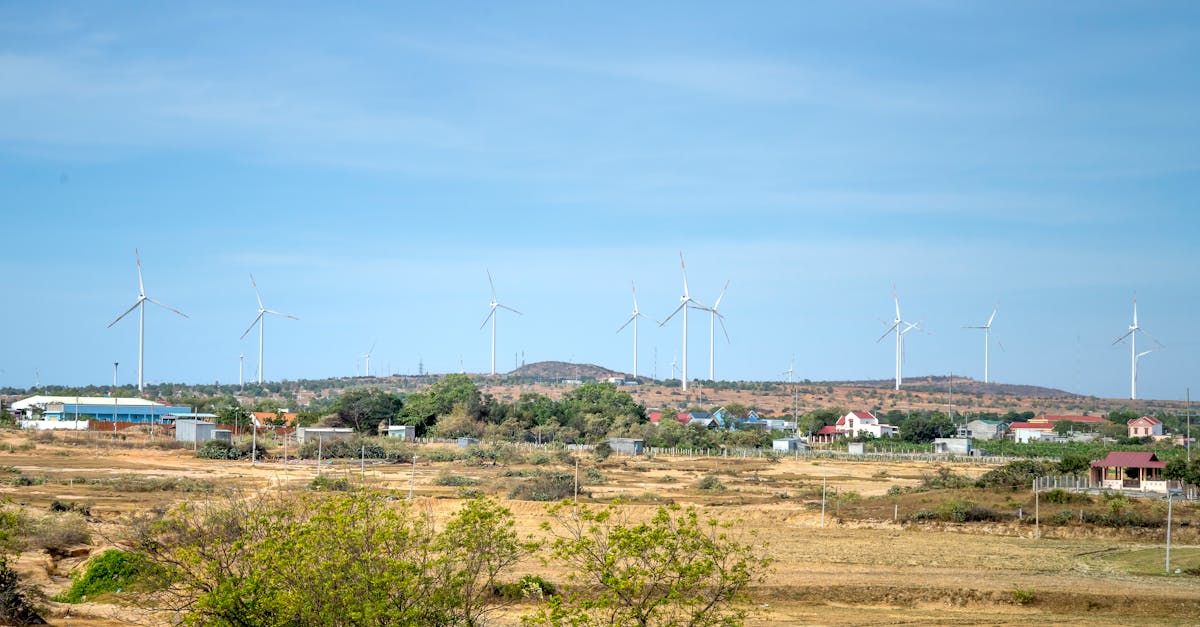 How to Implement Passive Solar Design in Your Home