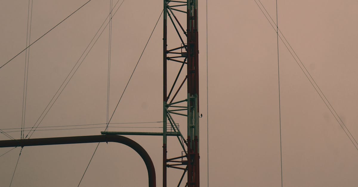 Why should we invest in biomass energy